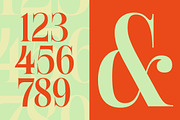 Delivery Feedback Modern Serif, a Serif Font by timelesstype.co (Thumbnail 14 of 20)