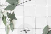 Eucalyptus Stock Photography, a Print Template by Smitten Photo & Design (Thumbnail 2 of 3)