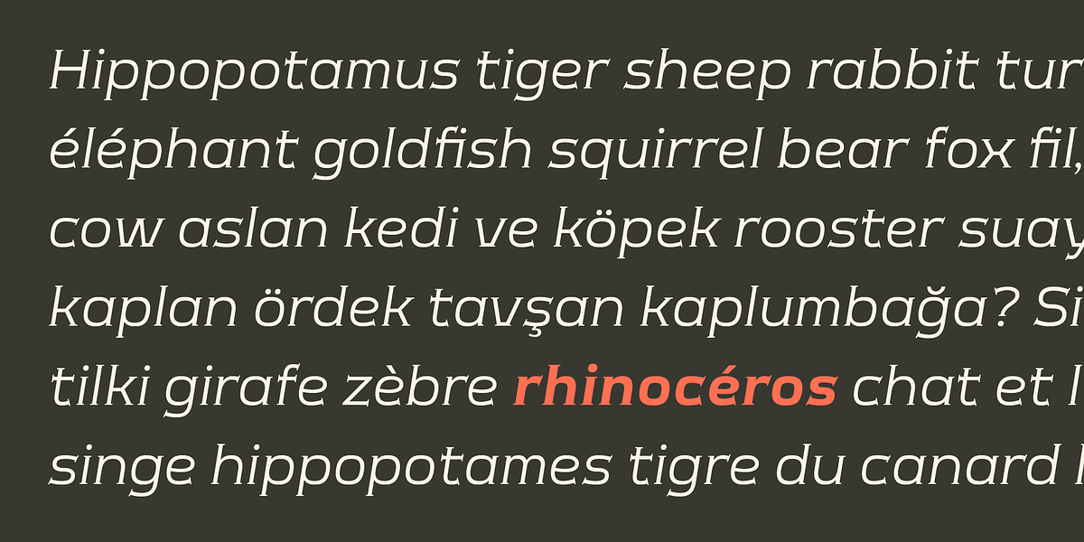 Meguro Serif, a Serif Font by GT&CANARY (Photo 2 of 12)