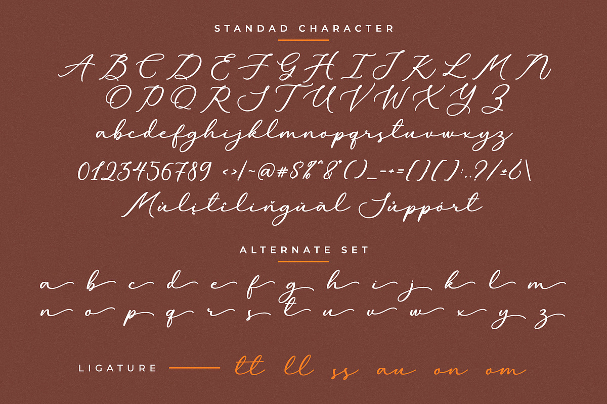 Amolley - a signature script, a Handwritten Font by Beautypes (Photo 6 of 7)