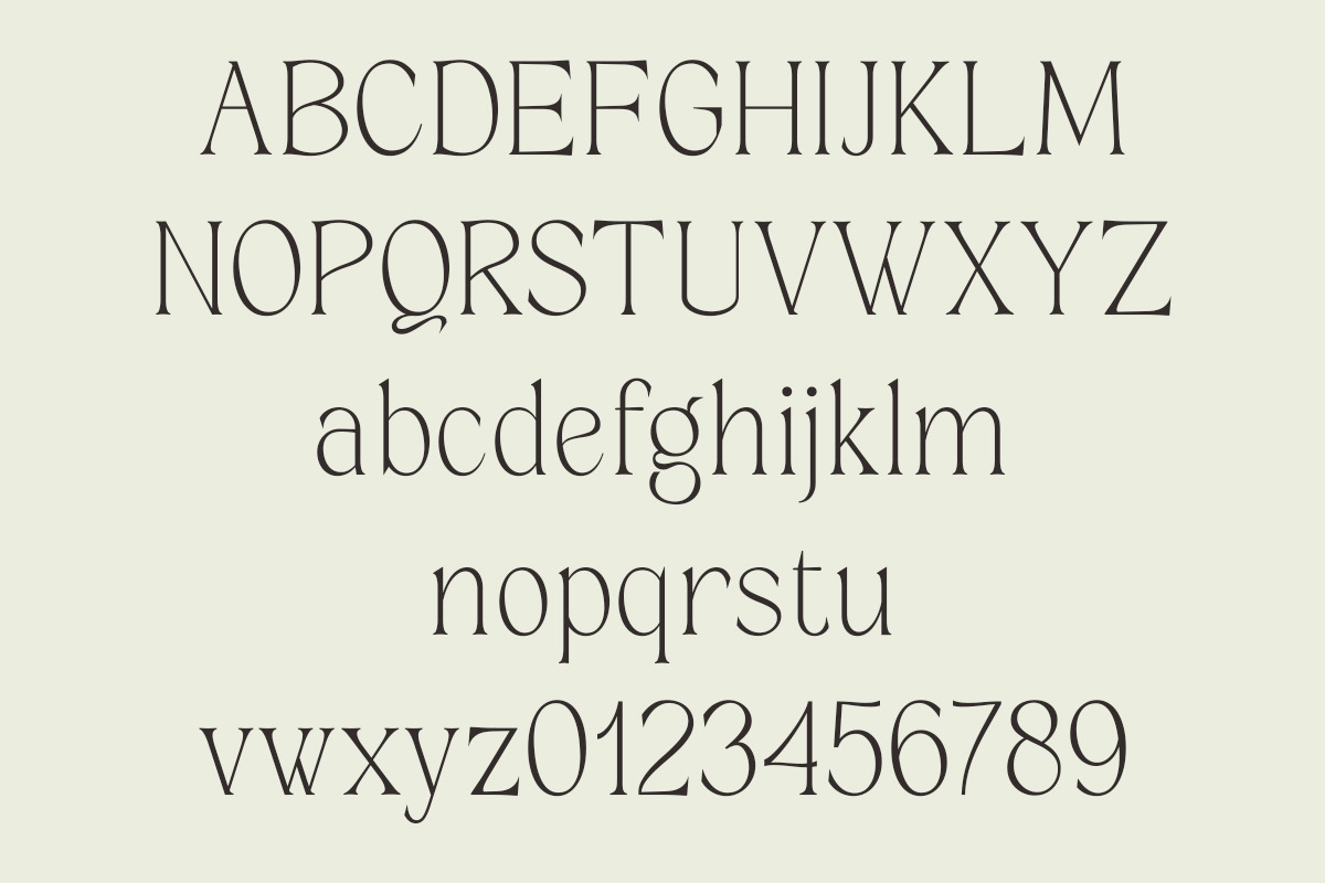 Grispily, a Serif Font by Black Studio (Photo 3 of 16)