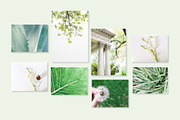 Minimal Greenery Photo Bundle, a Business Photo by Visual Bloom (Thumbnail 3 of 4)