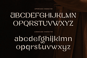 Fastue - Modern Luxury Logo Font, a Serif Font by Sensatype (Thumbnail 10 of 12)