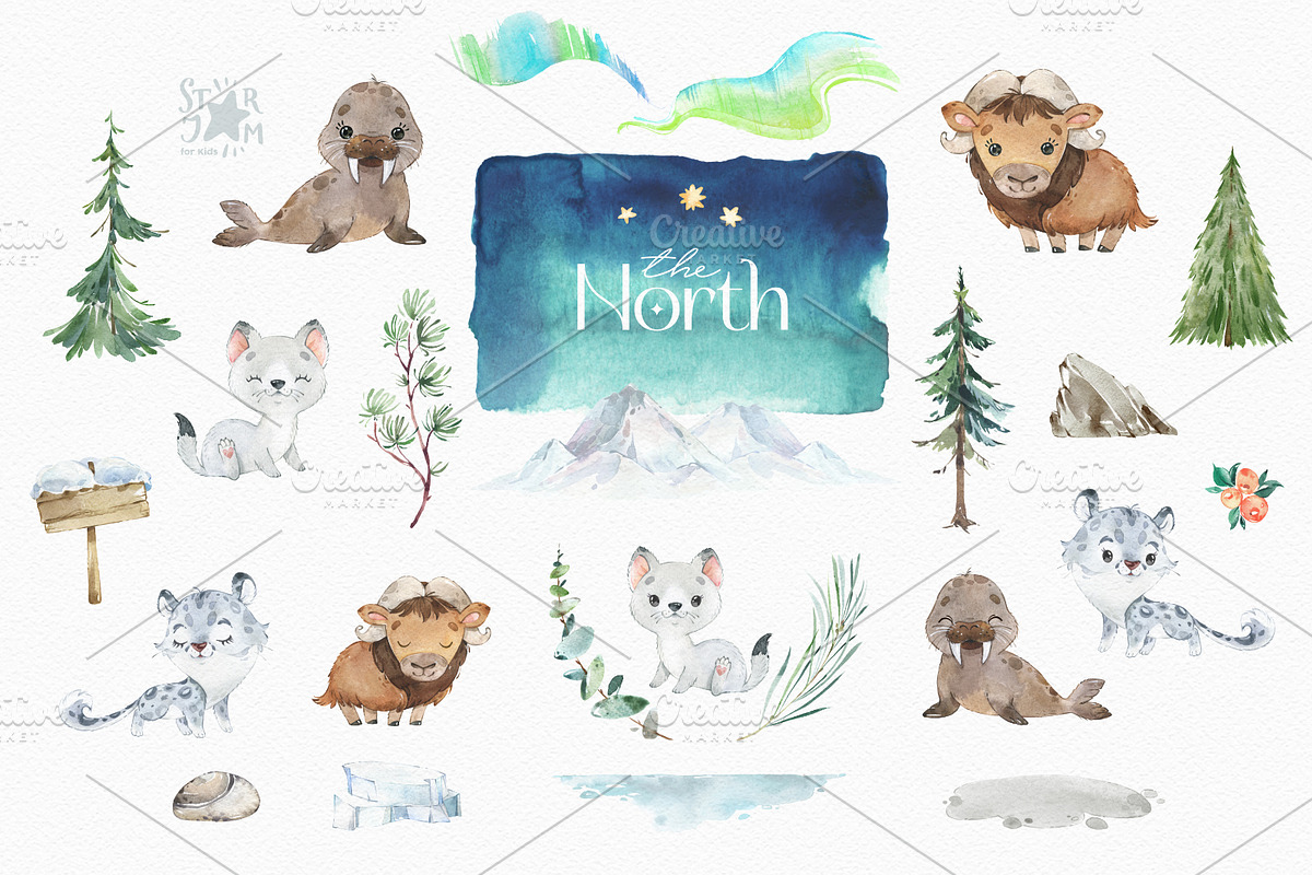 The North. Watercolor Collection, an Animal Illustration by StarJam (Photo 4 of 8)