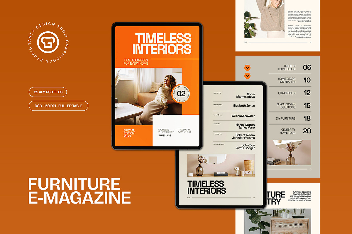 Orange Furniture E-Magazine, a Templates & Theme by graphicook (Photo 1 of 5)
