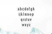 Adney Slab Serif Font Family, a Slab Serif Font by Creativetacos (Thumbnail 3 of 5)