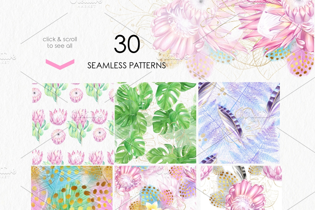 Tropic protea, watercolor clip art, a Seasonal Illustration by katmonne (Photo 8 of 9)