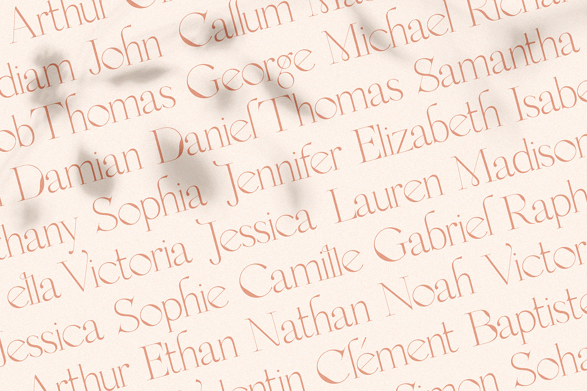 MOON CROWD - Elegant & Stylish Serif, a Serif Font by SilverStag Type Foundry (Photo 22 of 26)