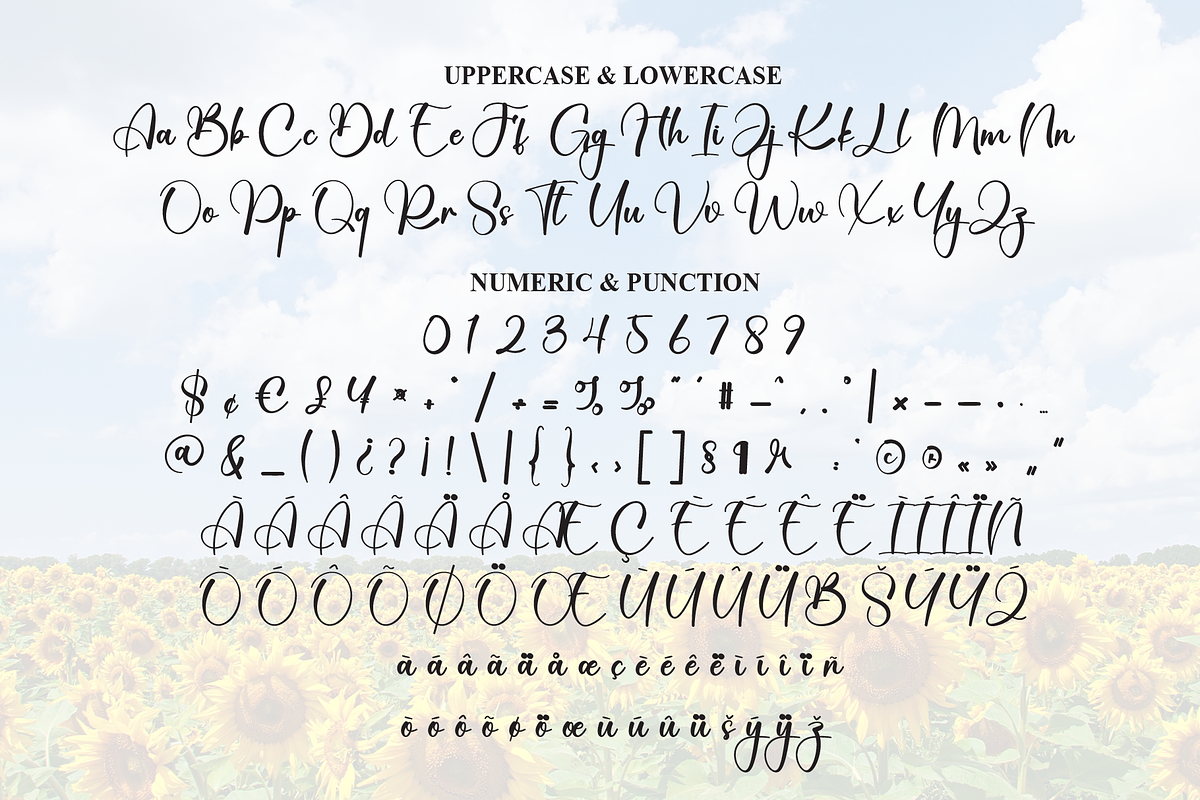 Sunflower | Script Font, a Handwritten Font by Scratchones (Photo 7 of 8)