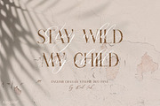 English Channel. Duo Font., a Serif Font by Red Ink (Thumbnail 4 of 15)
