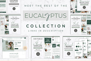 Wix Website Template Eucalyptus