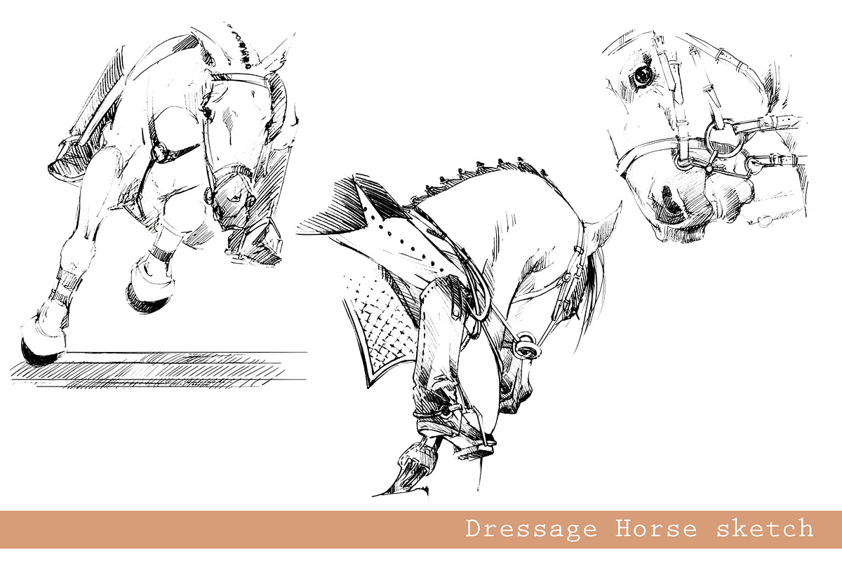 Sport Horses watercolor set, an Object Graphic by FineArt (Photo 12 of 18)