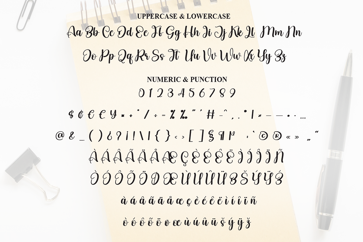 Ballpoint | Script Font, a Handwritten Font by Scratchones (Photo 7 of 8)
