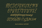 Aurelisse Pen Handwritten Font, a Handwritten Font by Letterhend Studio (Thumbnail 9 of 9)