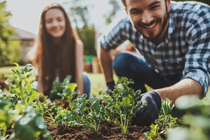 Cheerful dad gardening with her daug, a Nature Photo by MistyDay