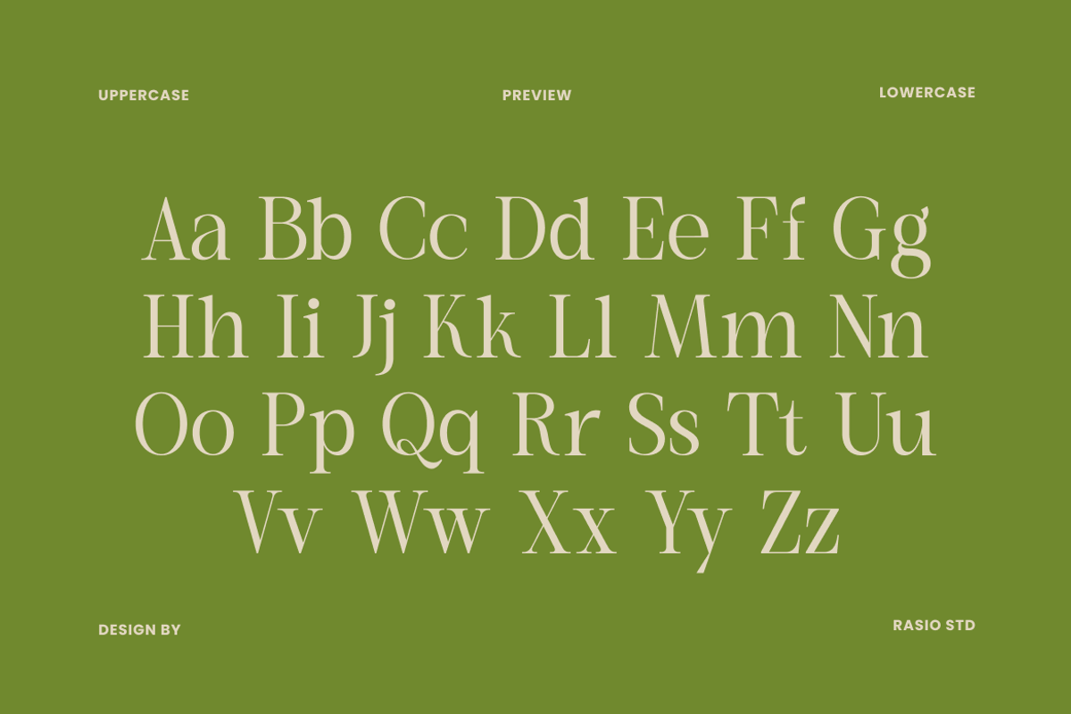 Remara Elegant Decorative Serif Font, a Serif Font by Rasio Studio (Photo 2 of 9)