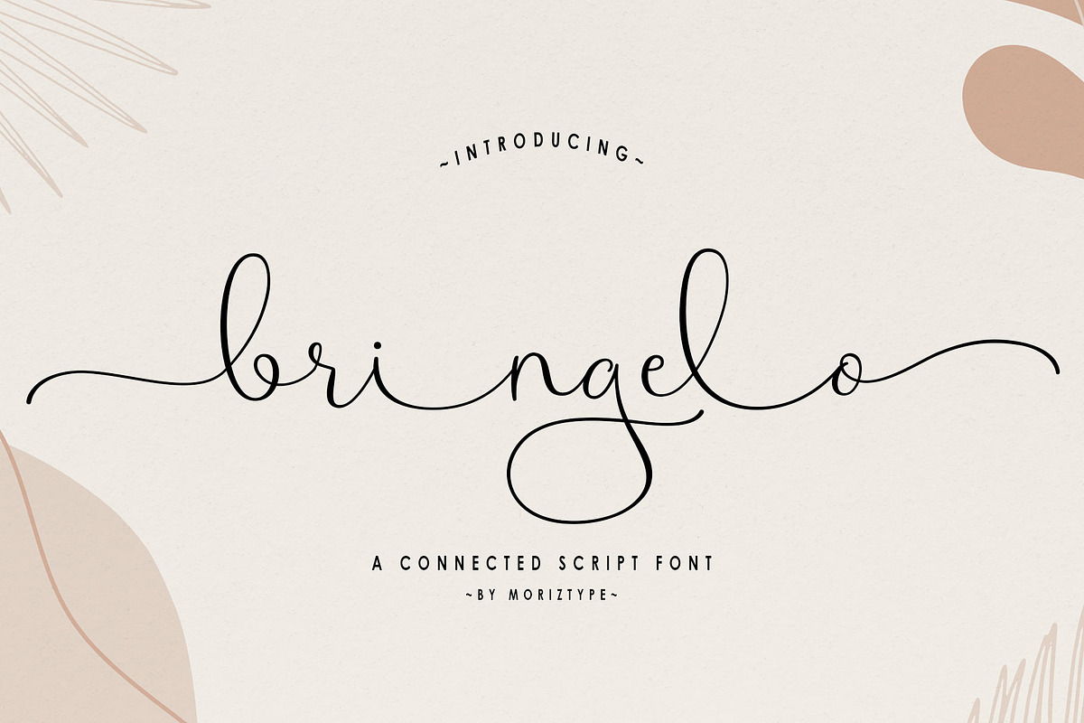 Bringelo Handwritten Wedding Font, a Script Font by moriztype (Photo 1 of 15)
