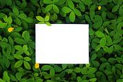 Greenery Mockup, Styled Stock Photo, a Product Mockup by littleprince (Thumbnail 2 of 3)