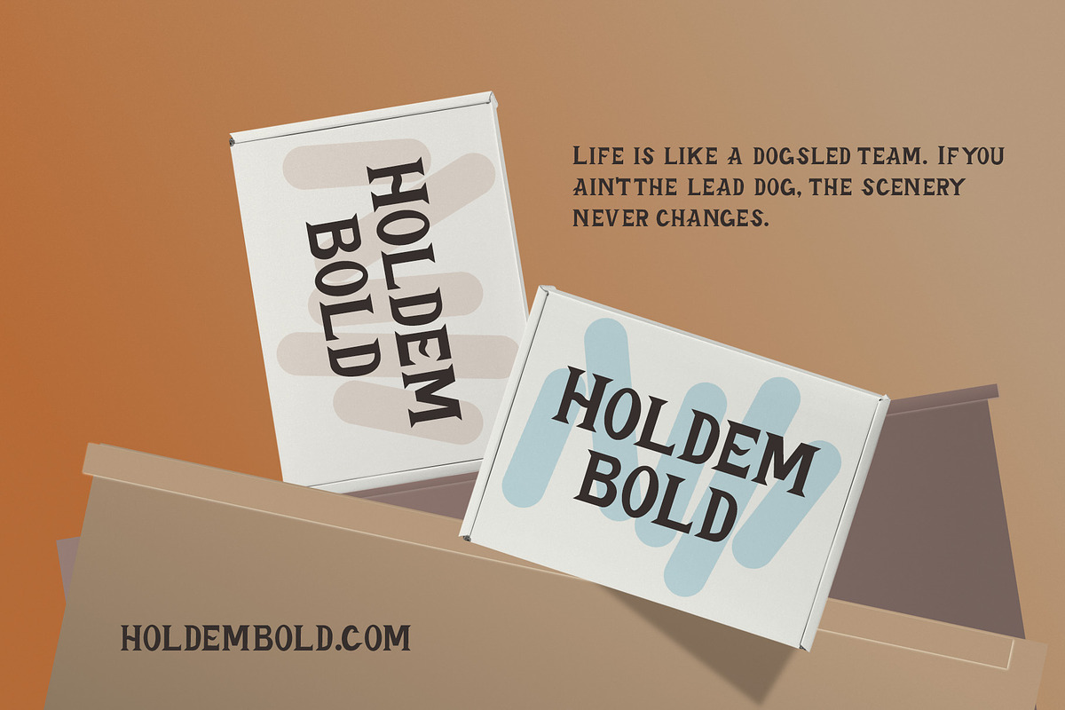 Heidar - Display Typeface, a Serif Font by Craft Supply Co. (Photo 5 of 8)