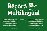 Necora – Multiple Axes Classic Font, a Serif Font by Drizy (Thumbnail 7 of 10)
