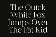 CS Refair – Modern Serif Font, a Serif Font by Craft Supply Co. (Thumbnail 4 of 8)