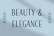 Felicia - Sleek Beauty Typeface, a Serif Font by HipFonts (Thumbnail 6 of 10)