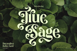 True Sage - Decorative Serif Family