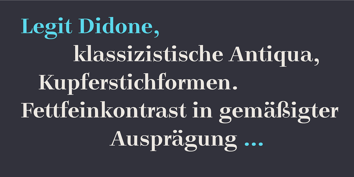 Legit Didone, a Serif Font by Finaltype (Photo 8 of 13)
