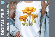 Mushroom Illustration Bundle, 35 PNG, a Decorative Illustration by Enliven Designs (Thumbnail 5 of 8)