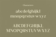 Flamingo, a Serif Font by Kleffont Studio (Thumbnail 9 of 11)