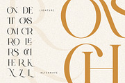 CRONDE || Elegant Luxury Serif, a Serif Font by ToniStudio (Thumbnail 8 of 10)