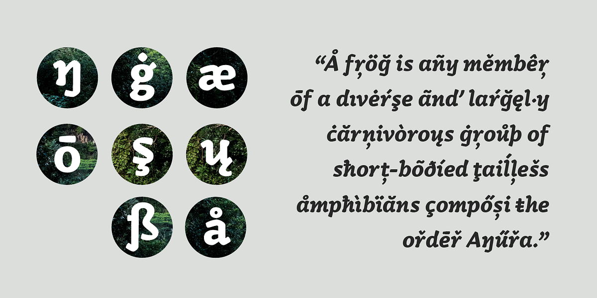 Kamado, a Sans Serif Font by Hashtag Type (Photo 4 of 9)
