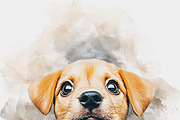 Custom Watercolor Pet Template, an Action Add-On by MRI STUDIO (Thumbnail 21 of 23)