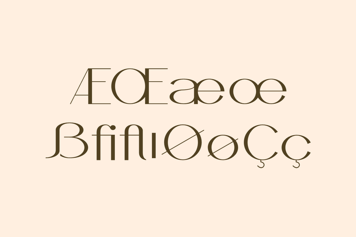 Rolcak - Fashion Brand Font, a Sans Serif Font by QR Design Studio (Photo 16 of 16)