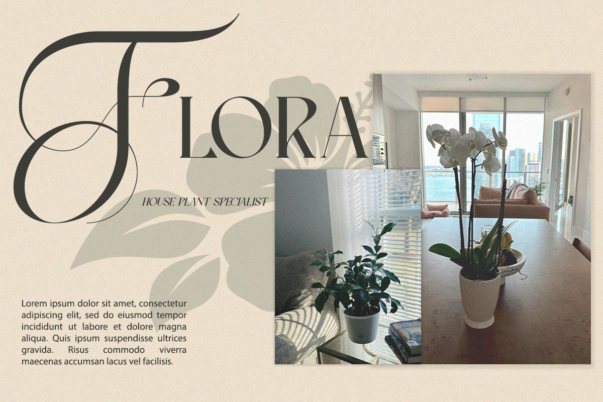 Ever Lasting - Modern Serif Font, a Serif Font by RagamKata (Photo 6 of 13)