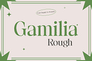 Gamilia Rough, a Serif Font by Craft Supply Co. (Thumbnail 1 of 8)