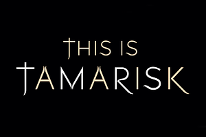 Tamarisk. Stunning serif/sans font