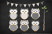 Owls Clipart & Patterns in Grey, an Animal Illustration by Amanda Ilkov (Thumbnail 3 of 4)