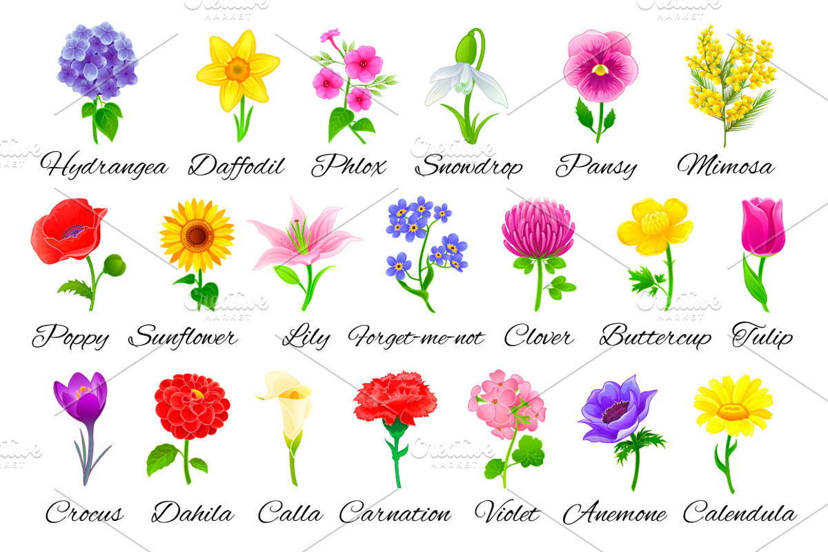 20 Vector flowers, an Illustration by Mallinka (Photo 2 of 4)