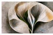 Lily Collection · Calla Lily Flowers, a Decorative Illustration by milatovar (Thumbnail 10 of 16)