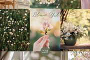 230 Spring Stock Photos Blossom girl, a Beauty & Fashion Photo by Allure Art (Thumbnail 23 of 39)