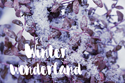 Sonia Font, a Script Font by SophieSaxo (Thumbnail 5 of 8)