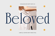 CS Malicious – Elegant Font, a Serif Font by Craft Supply Co. (Thumbnail 5 of 8)