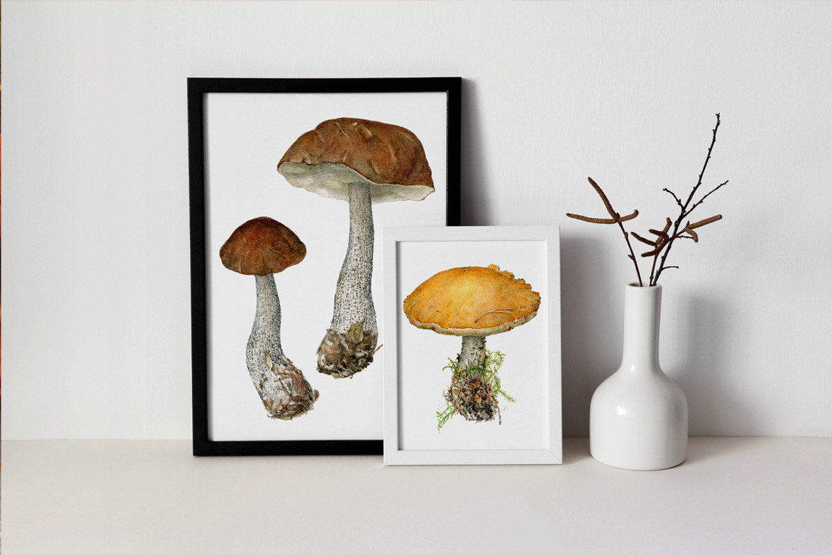 Botanical art watercolor and pencils, a Food Illustration by ViktoriArt (Photo 11 of 16)