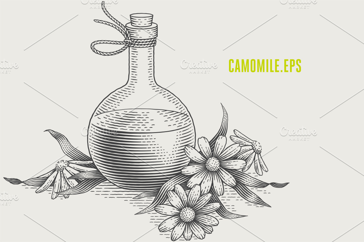 Herbs Bundle engravings, a Food Illustration by Irina Trusova (Photo 3 of 9)