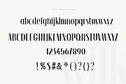 Wilk - A Classy Sans Serif Font, a Sans Serif Font by KA Designs (Thumbnail 11 of 11)
