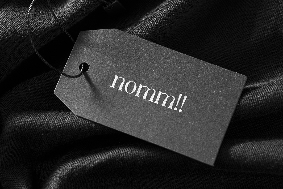 Spinmaster Modern Display Serif Font, a Serif Font by UICreative (Photo 4 of 13)