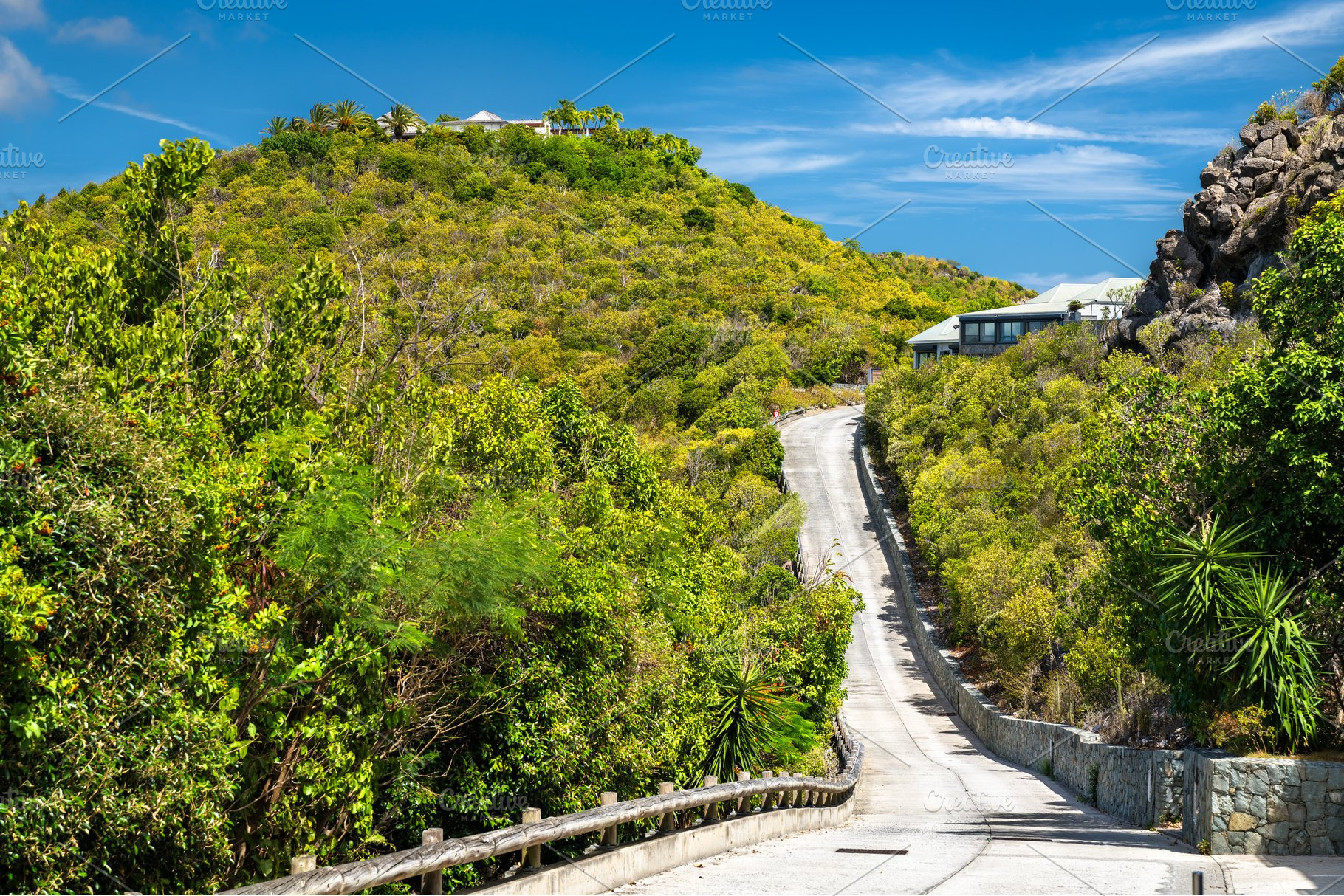 Steep road leading uphill through lush vegetation in Colombier, a Transportation Photo by Leonid Andronov