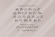 Berlina Elegant Script Font, a Script Font by Elegant Font (Thumbnail 8 of 8)
