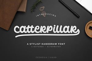 Catterpillar - A Stylist Font